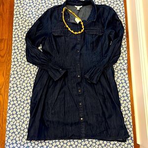 NWT Denim Dress from Cato Size 16